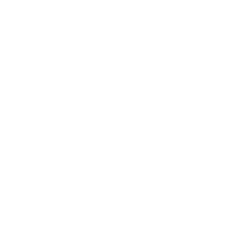 ydy